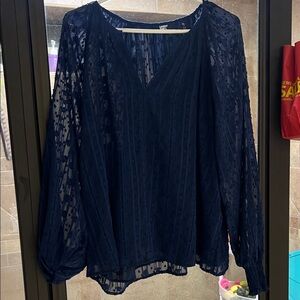 Lands End Blue Blouse